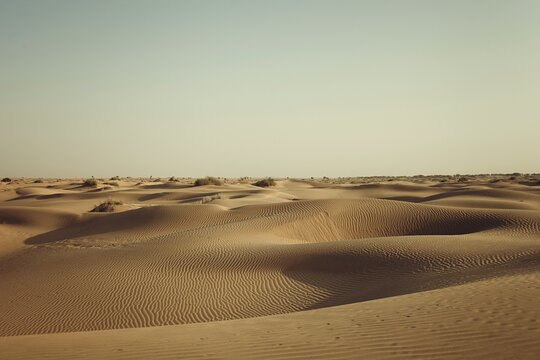 Tour image 7