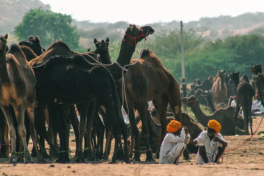 Tour image 14